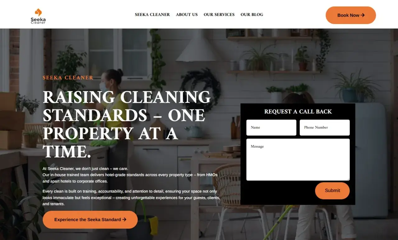 Seek A Cleaner original website